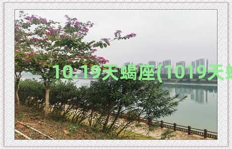 10.19天蝎座(1019天蝎座)