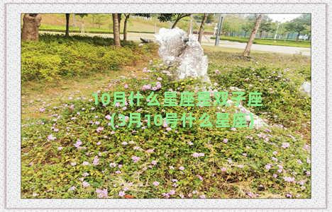 10月什么星座是双子座(3月10号什么星座)