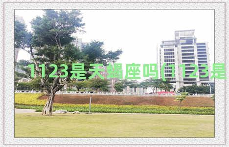 1123是天蝎座吗(1123是天蝎座吗)