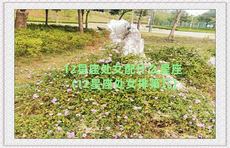 12星座处女配什么星座(12星座处女排第几)