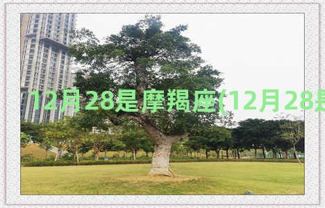 12月28是摩羯座(12月28是摩羯座吗)