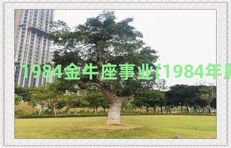 1984金牛座事业(1984年属鼠金牛座)