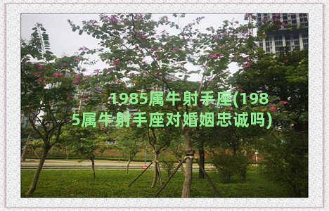 1985属牛射手座(1985属牛射手座对婚姻忠诚吗)