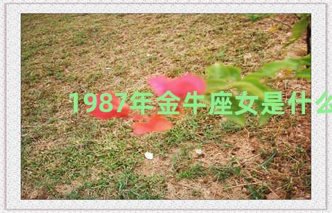 1987年金牛座女是什么命