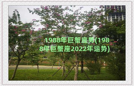 1988年巨蟹座男(1988年巨蟹座2022年运势)