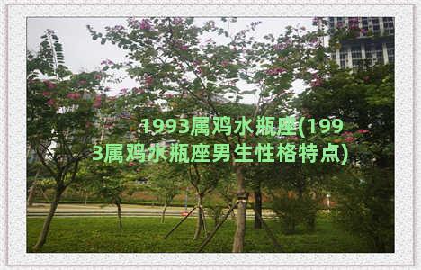 1993属鸡水瓶座(1993属鸡水瓶座男生性格特点)