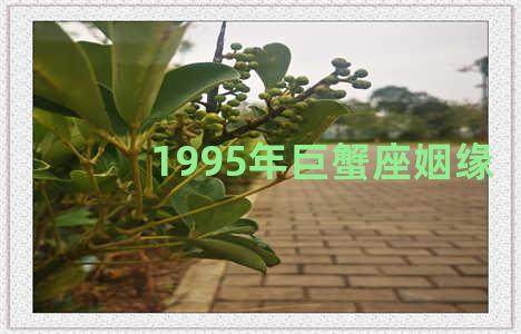 1995年巨蟹座姻缘