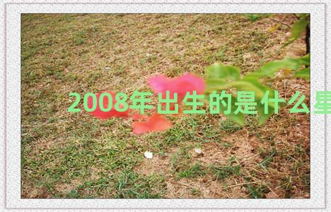 2008年出生的是什么星座