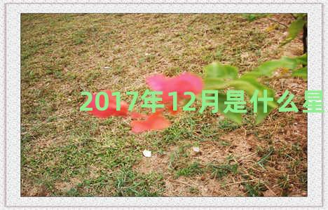 2017年12月是什么星座