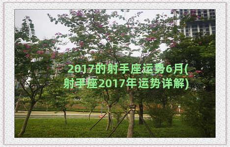 2017的射手座运势6月(射手座2017年运势详解)