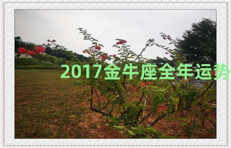 2017金牛座全年运势