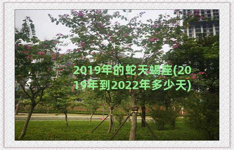 2019年的蛇天蝎座(2019年到2022年多少天)