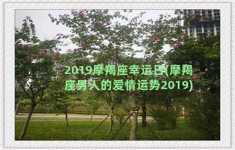 2019摩羯座幸运日(摩羯座男人的爱情运势2019)