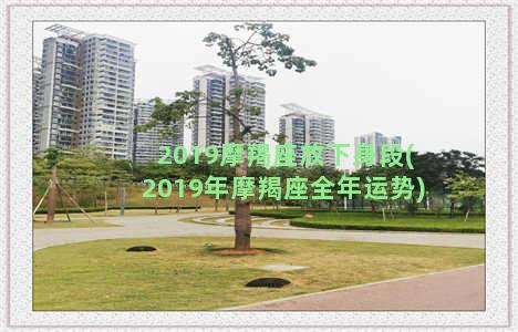 2019摩羯座放下身段(2019年摩羯座全年运势)