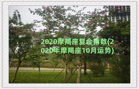 2020摩羯座复合指数(2020年摩羯座10月运势)