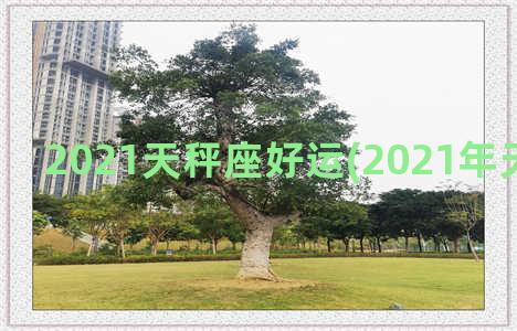 2021天秤座好运(2021年天秤座运势)