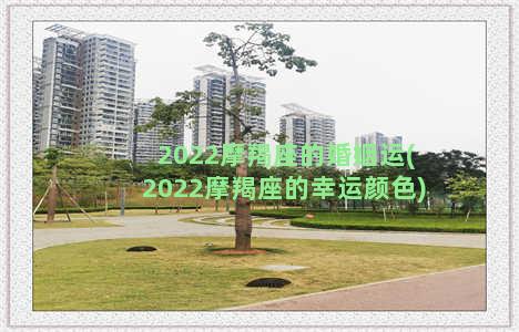 2022摩羯座的婚姻运(2022摩羯座的幸运颜色)