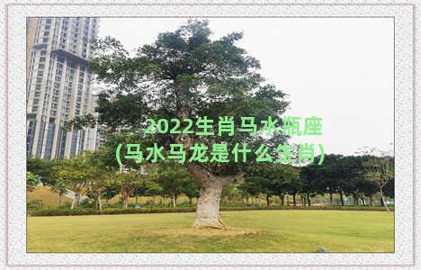 2022生肖马水瓶座(马水马龙是什么生肖)