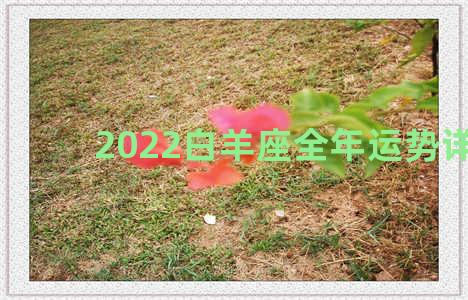 2022白羊座全年运势详解