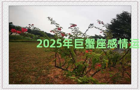 2025年巨蟹座感情运