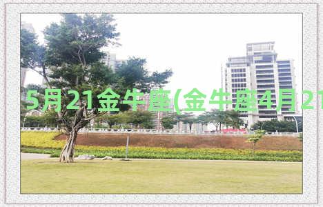 5月21金牛座(金牛座4月21日的性格)