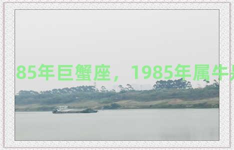 85年巨蟹座，1985年属牛是什么星座