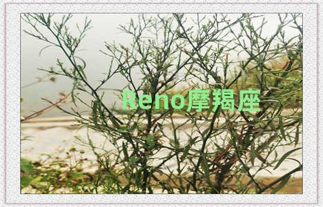 Reno摩羯座