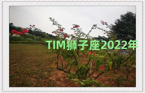 TIM狮子座2022年