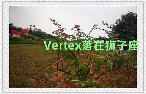 Vertex落在狮子座