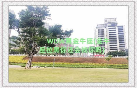 WOW黑金牛座(金牛座拉黑你还会找你吗)