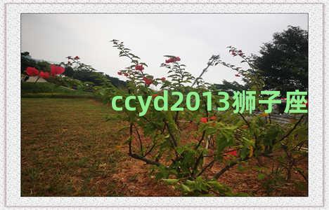 ccyd2013狮子座