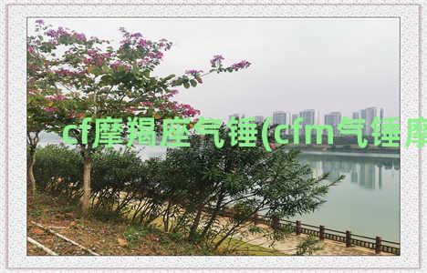 cf摩羯座气锤(cfm气锤摩羯座)