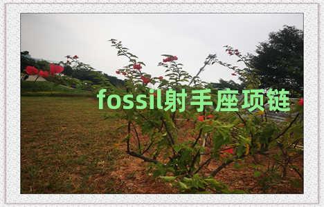 fossil射手座项链