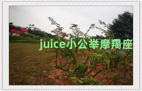 juice小公举摩羯座