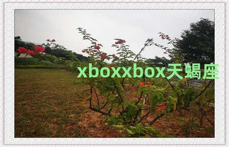 xboxxbox天蝎座