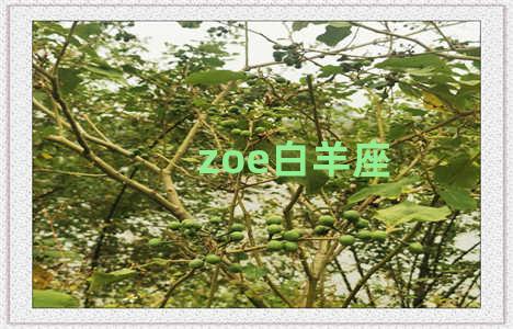 zoe白羊座