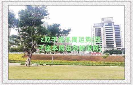 z双子座本周运势(双子座本周运势新浪网)