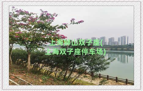 上海狮山双子座(上海双子座停车场)