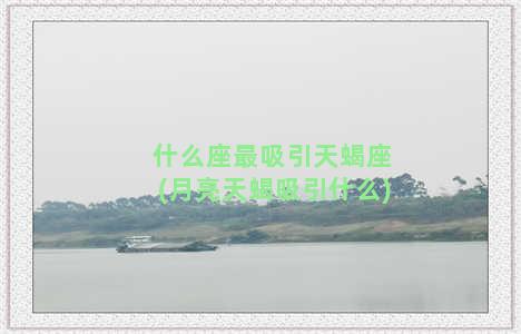 什么座最吸引天蝎座(月亮天蝎吸引什么)