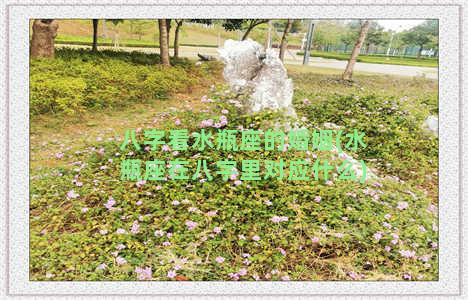 八字看水瓶座的婚姻(水瓶座在八字里对应什么)