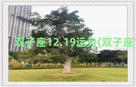 双子座12.19运势(双子座12.3运势)