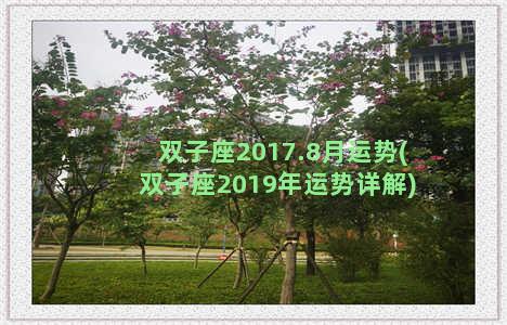 双子座2017.8月运势(双子座2019年运势详解)