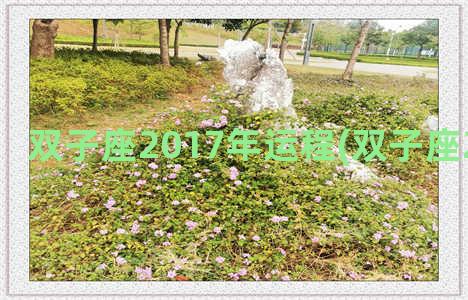 双子座2017年运程(双子座2017年运势)