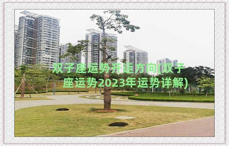 双子座运势开运方向(双子座运势2023年运势详解)