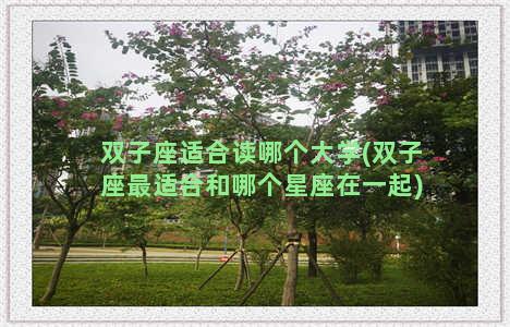 双子座适合读哪个大学(双子座最适合和哪个星座在一起)