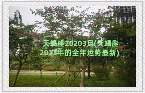 天蝎座20203月(天蝎座2023年的全年运势最新)