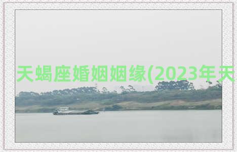 天蝎座婚姻姻缘(2023年天蝎座姻缘)