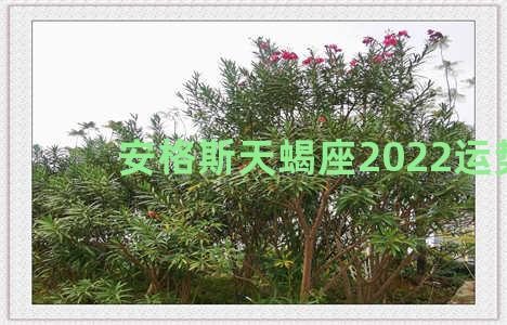 安格斯天蝎座2022运势