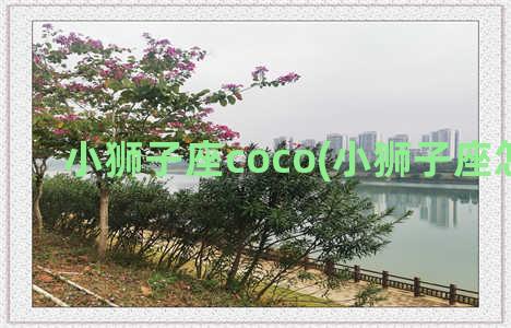 小狮子座coco(小狮子座怎么画)