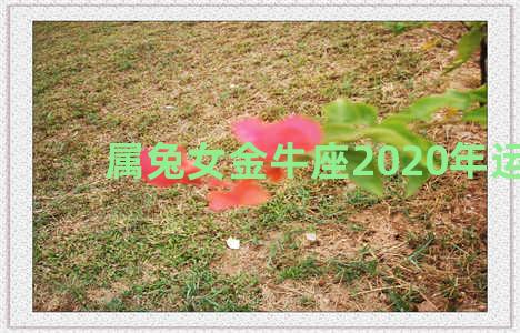 属兔女金牛座2020年运程